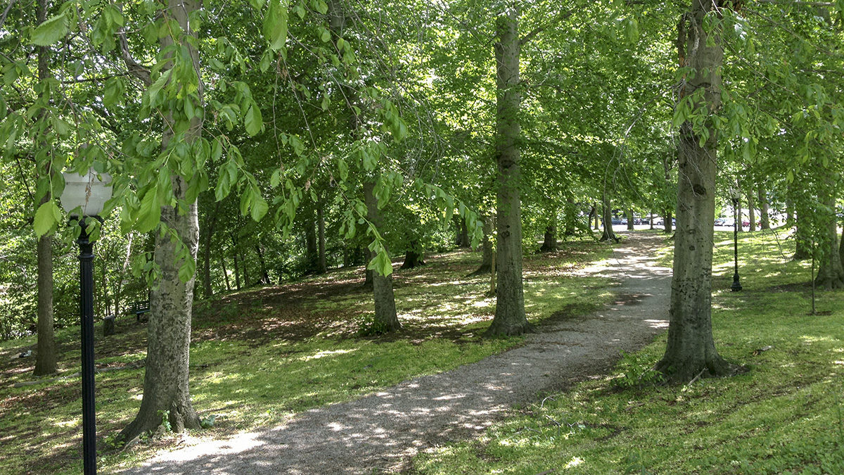 Wyman Park Dell The Cultural Landscape Foundation