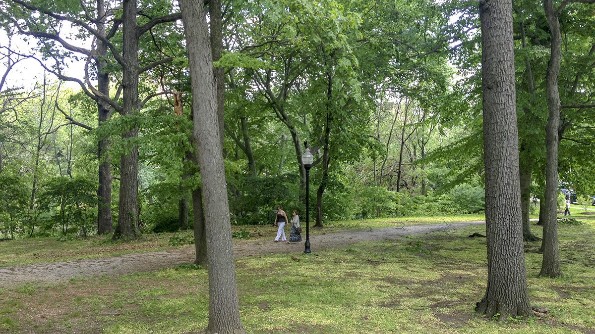 Wyman Park Dell The Cultural Landscape Foundation