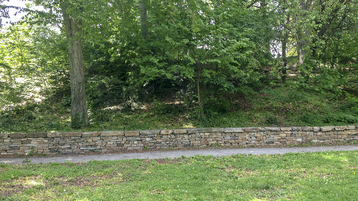 Wyman Park Dell The Cultural Landscape Foundation