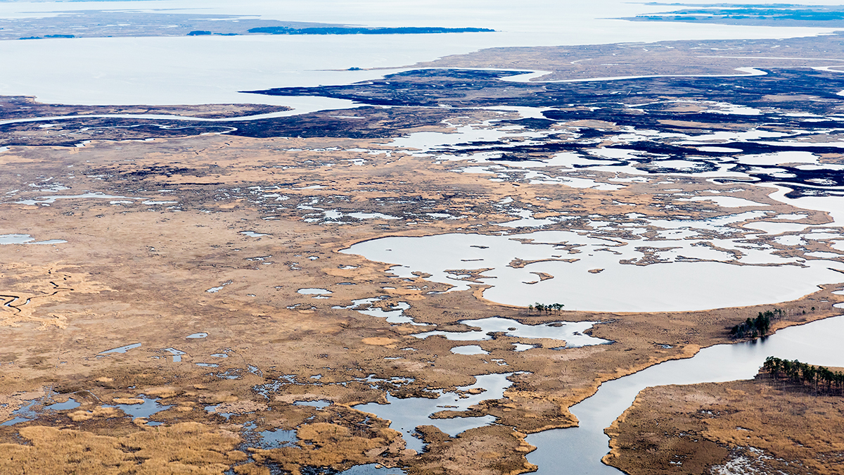 Blackwater National Wildlife Refuge The Cultural Landscape Foundation