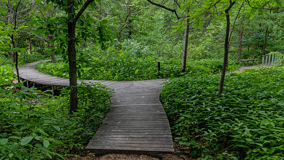 Eloise Butler Wildflower Garden and Bird Sanctuary The Cultural