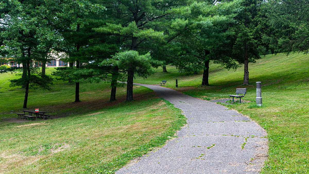 Theodore Wirth Regional Park The Cultural Landscape Foundation