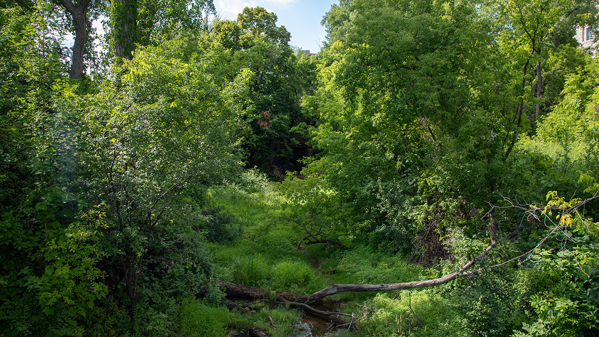 Father Hennepin Bluff Park The Cultural Landscape Foundation