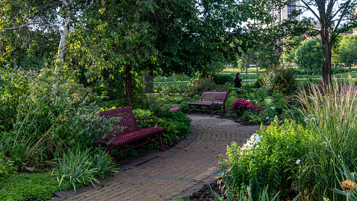 Loring Park The Cultural Landscape Foundation