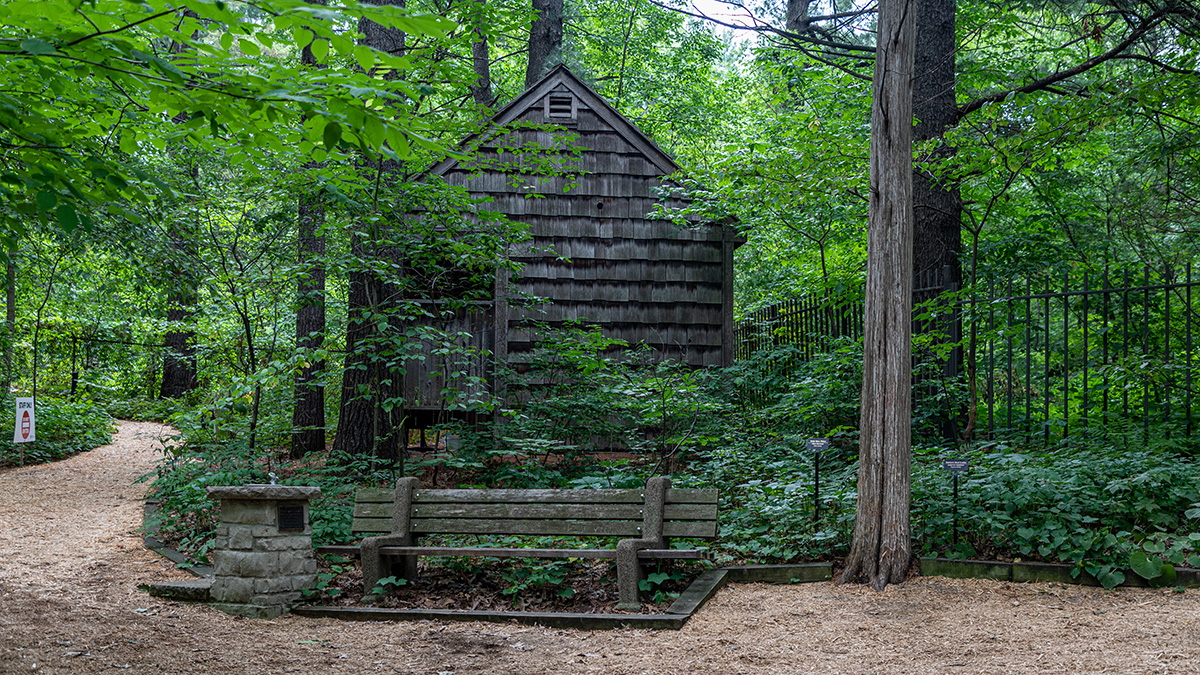 Eloise Butler Wildflower Garden and Bird Sanctuary The Cultural