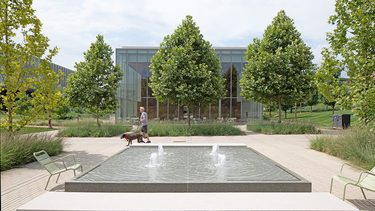 Washington University in St. Louis East End & Tisch Park The Cultural Landscape Foundation