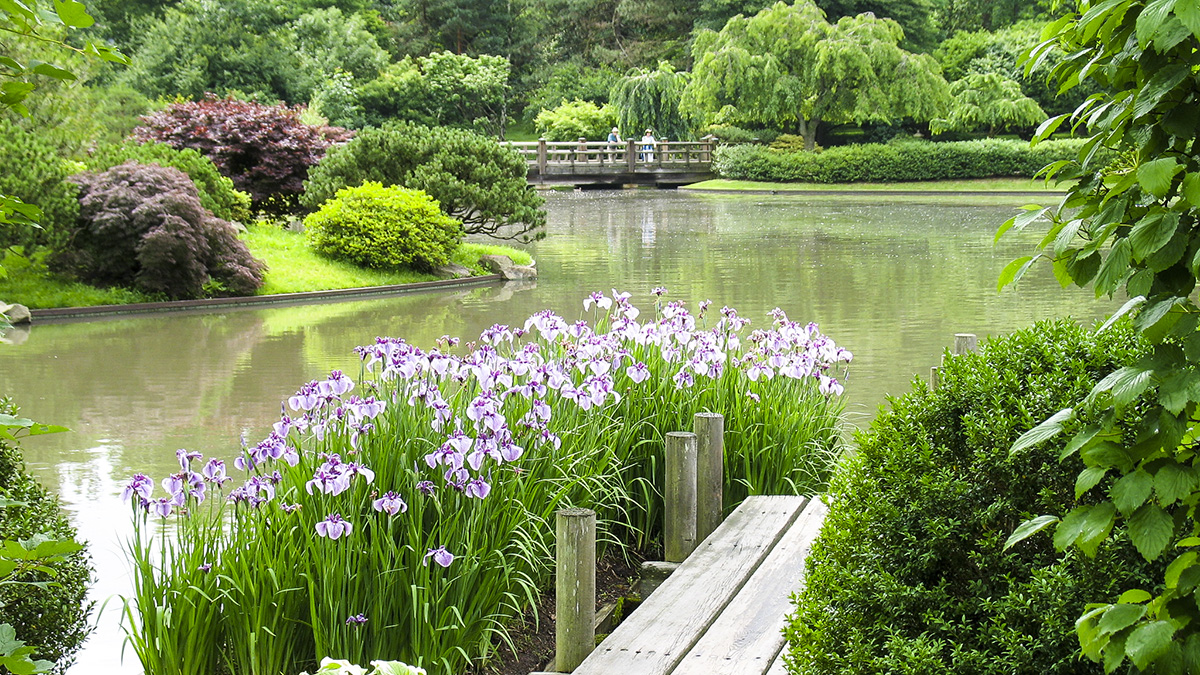 Missouri Botanical Garden Japanese Garden, St. Louis, MO