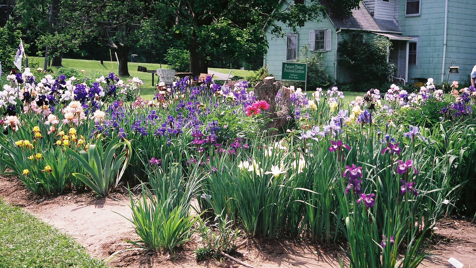 Margaret Thomas' Garden, Herndon, VA