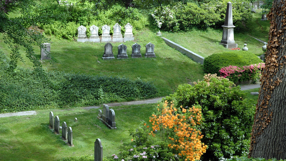 Are Dogs Allowed In Mount Auburn Cemetery