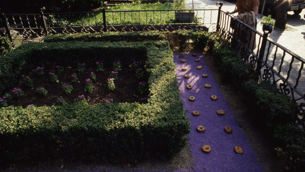 Martha Schwartz The Cultural Landscape Foundation