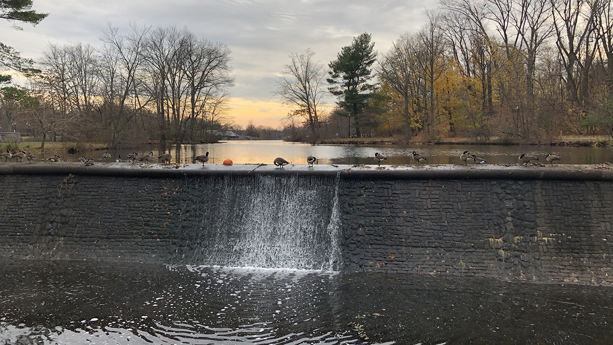 Essex County Park System The Cultural Landscape Foundation