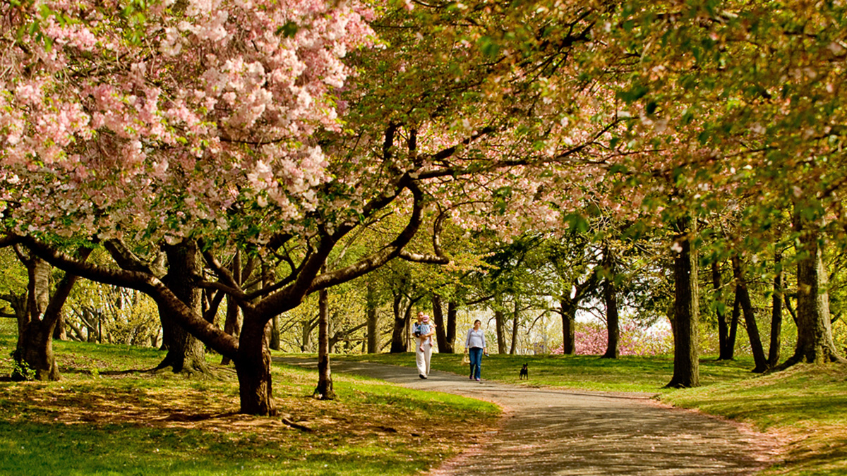 Branch Brook Park, Newark, NJ 