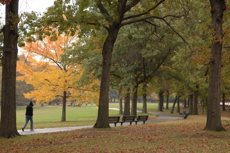 Alley Pond Park, Queens, NY