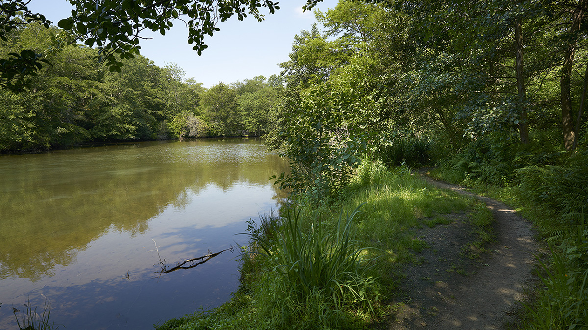 Bayard Cutting Arboretum State Park The Cultural Landscape Foundation