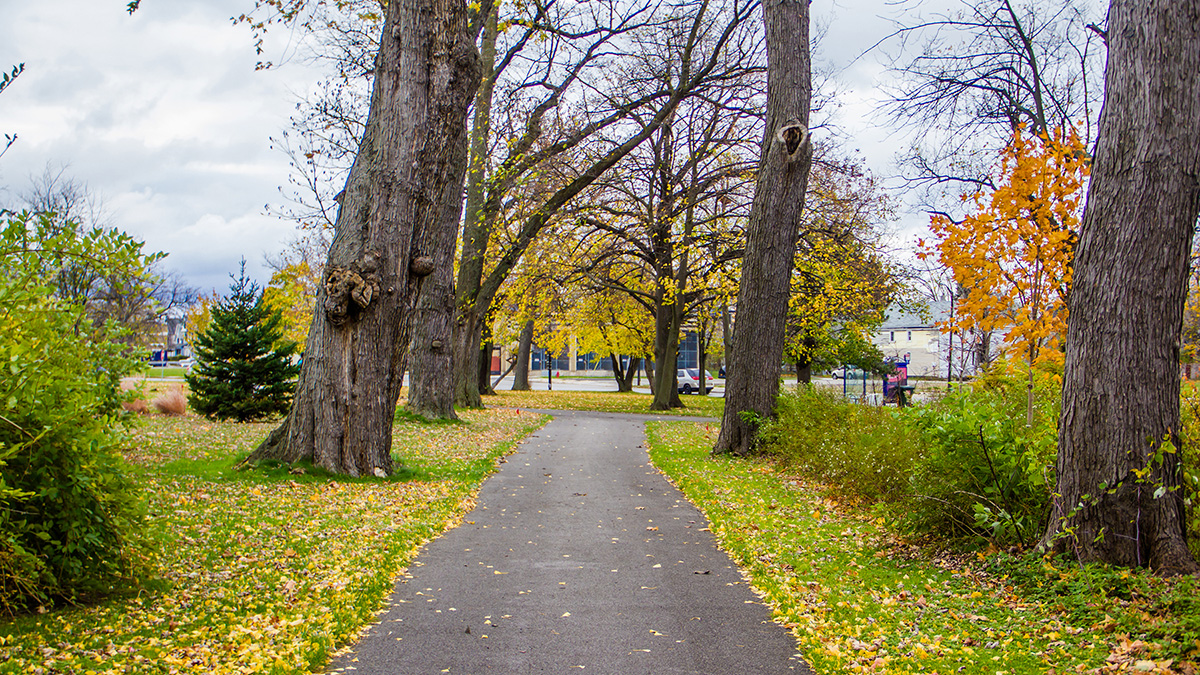 Martin Luther King, Jr. Park The Cultural Landscape Foundation