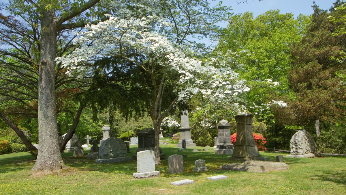 Memorial Cemetery of St. John's Church The Cultural Landscape Foundation