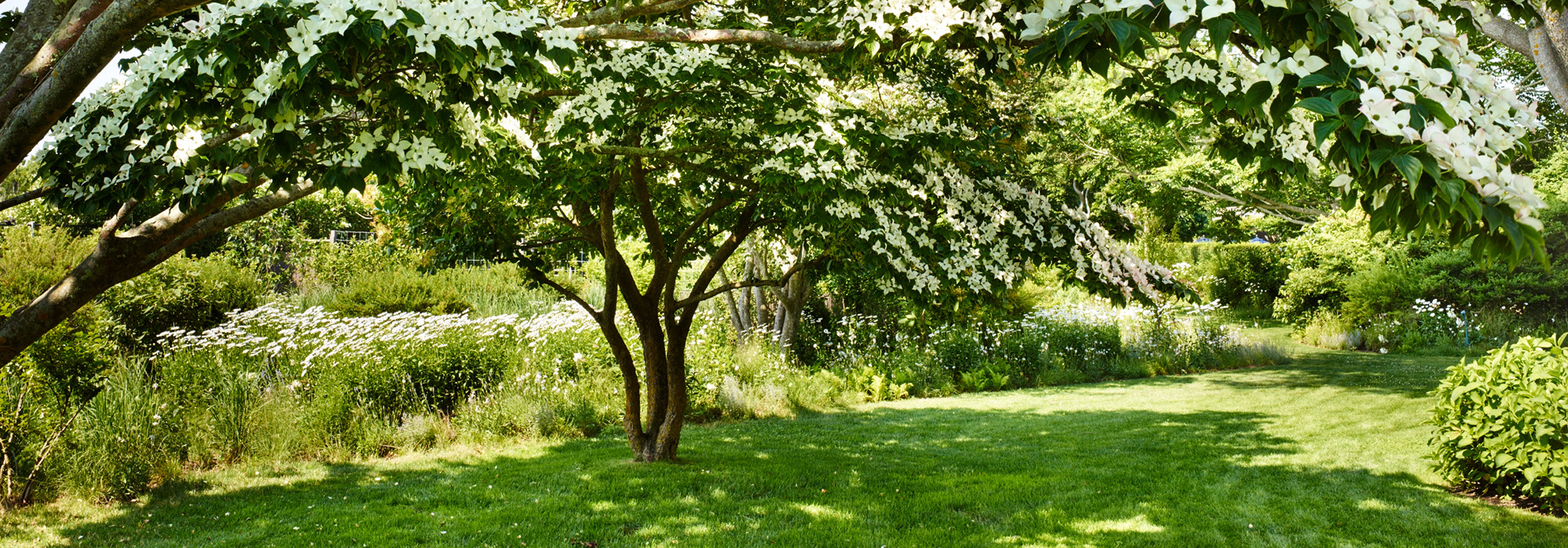 NY_Hamptons_Edwina vG - apm lr CF004524_Photoby_Allan Pollack-Morris Hero.jpg NY_Hamptons_Edwina vG - apm lr CF004524_Photoby_Allan Pollack-Morris Hero.jpg