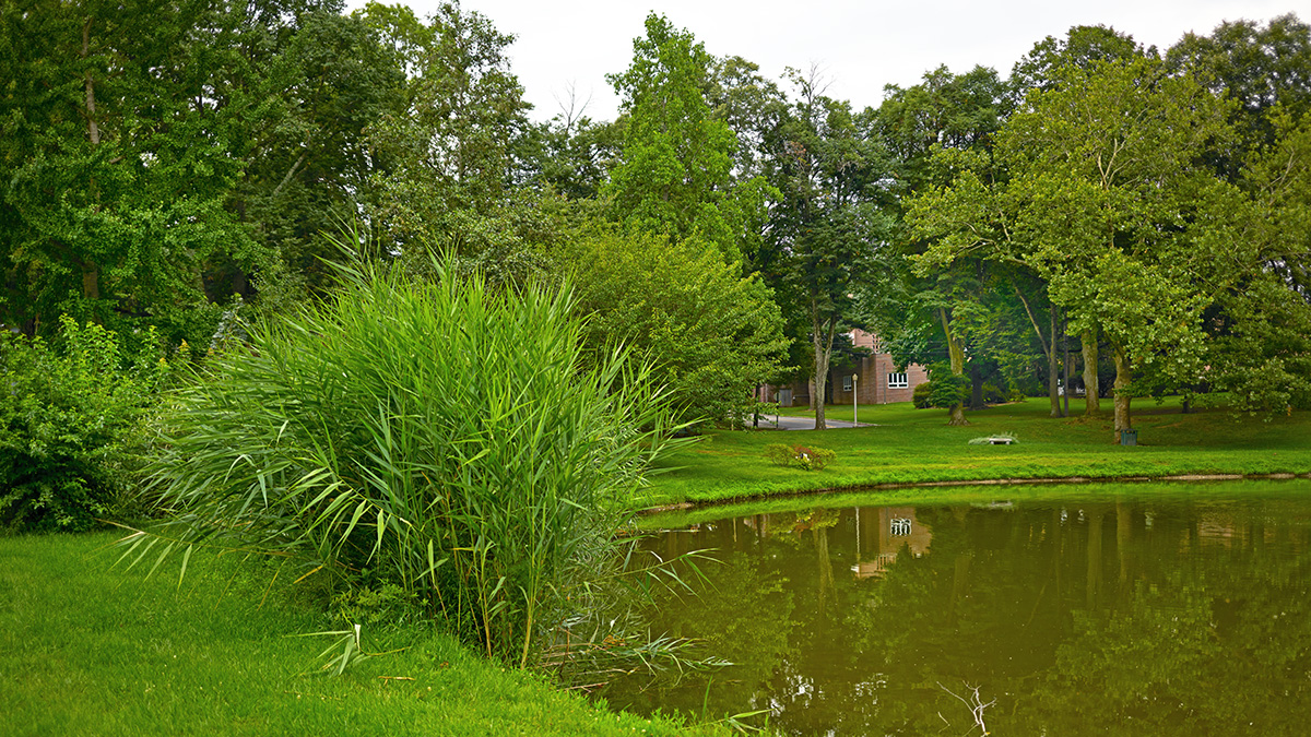 Munsey Park The Cultural Landscape Foundation