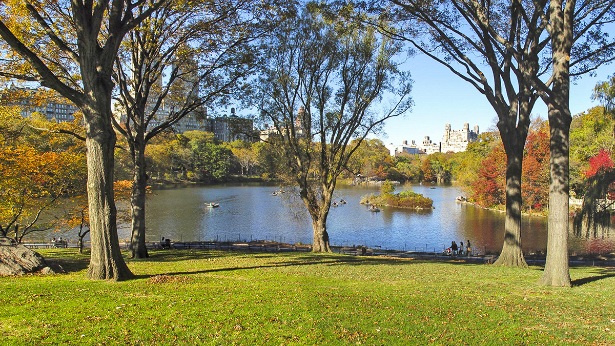 Zoei Park