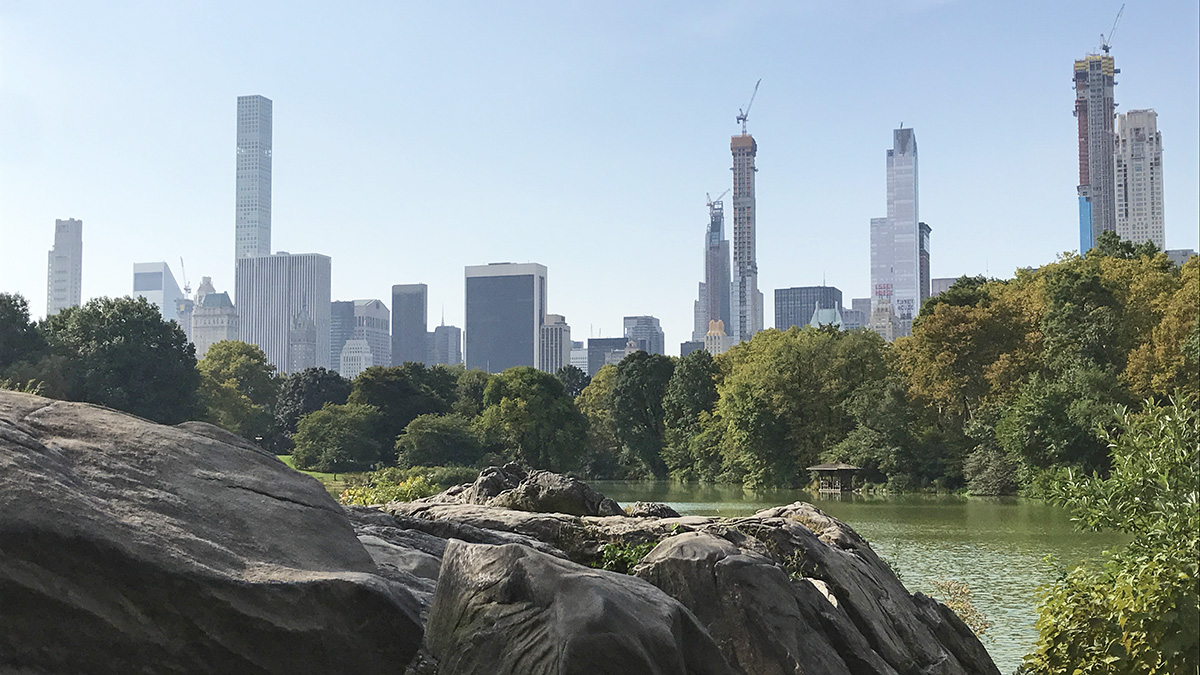 Central Park The Cultural Landscape Foundation