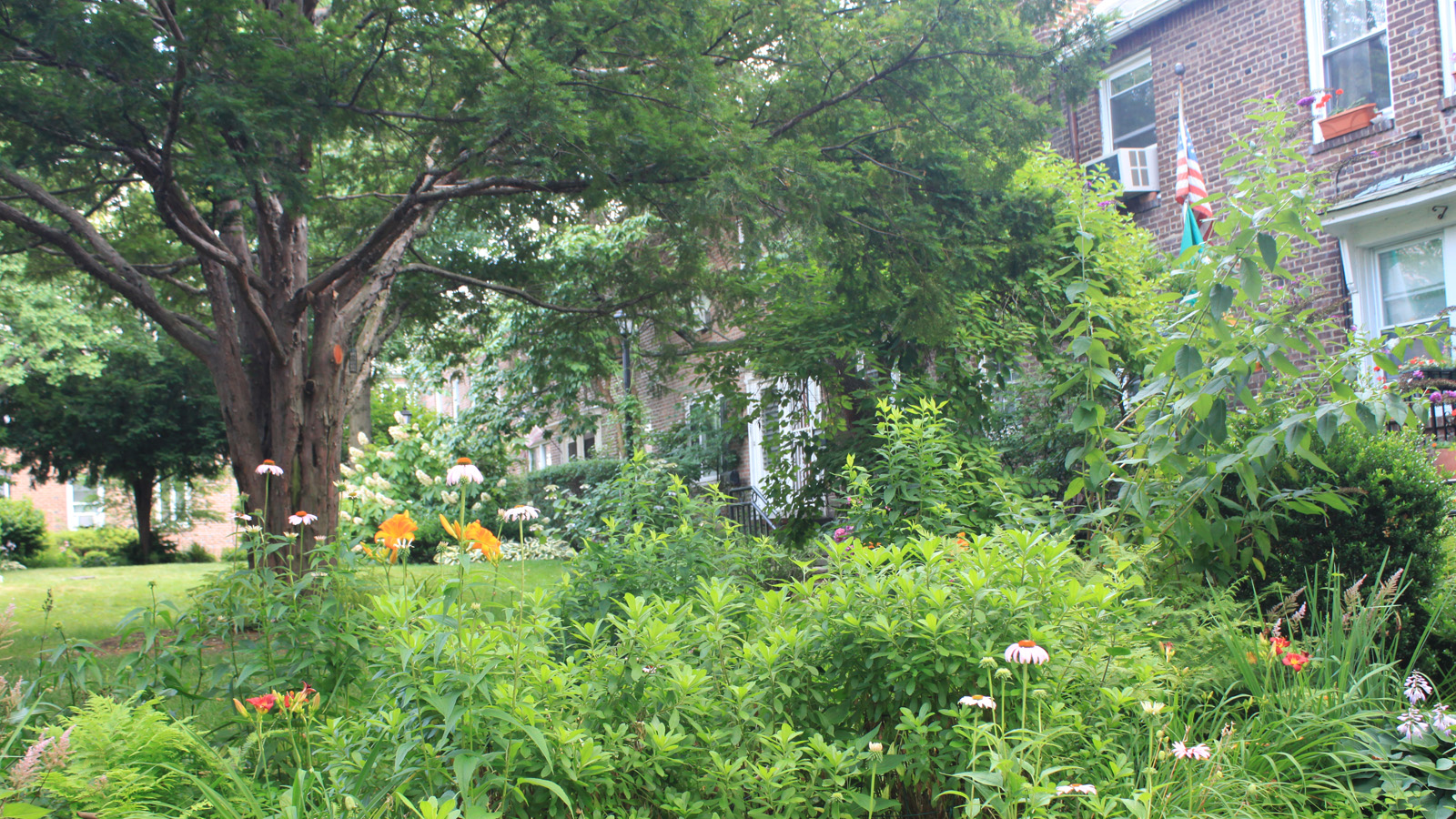 Sunnyside Gardens, Queens, NY