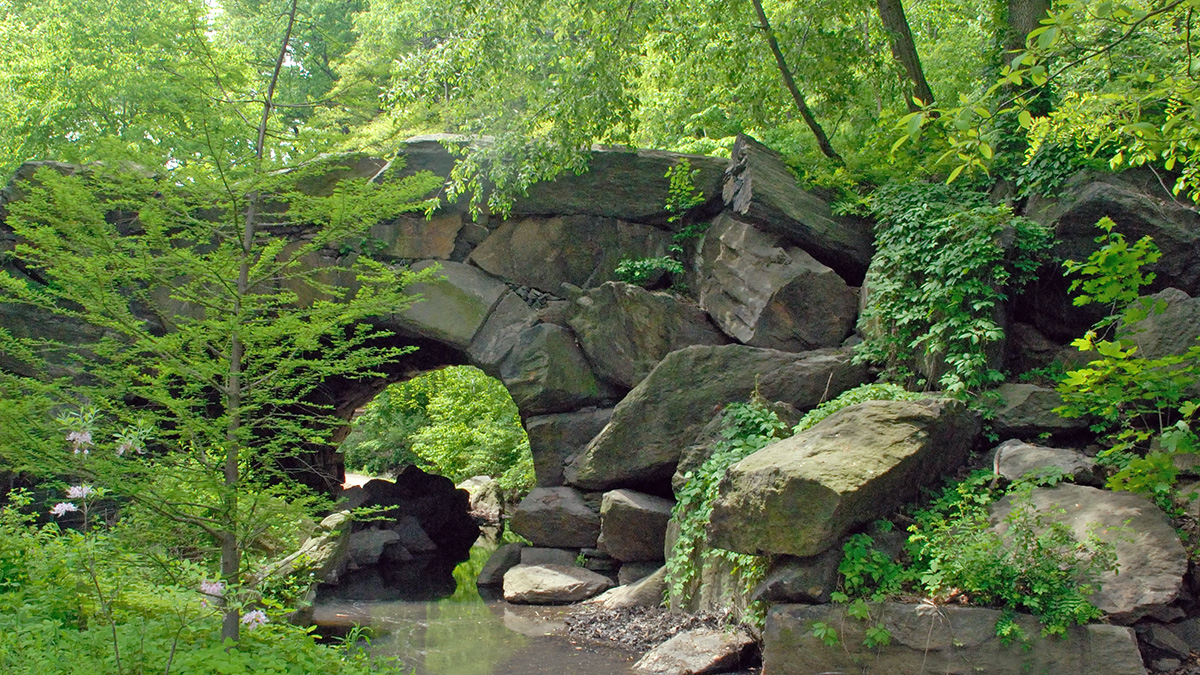 The North Woods, Central Park, New York City, NY