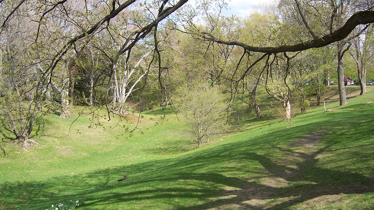 Highland ParkRochester, NY The Cultural Landscape Foundation