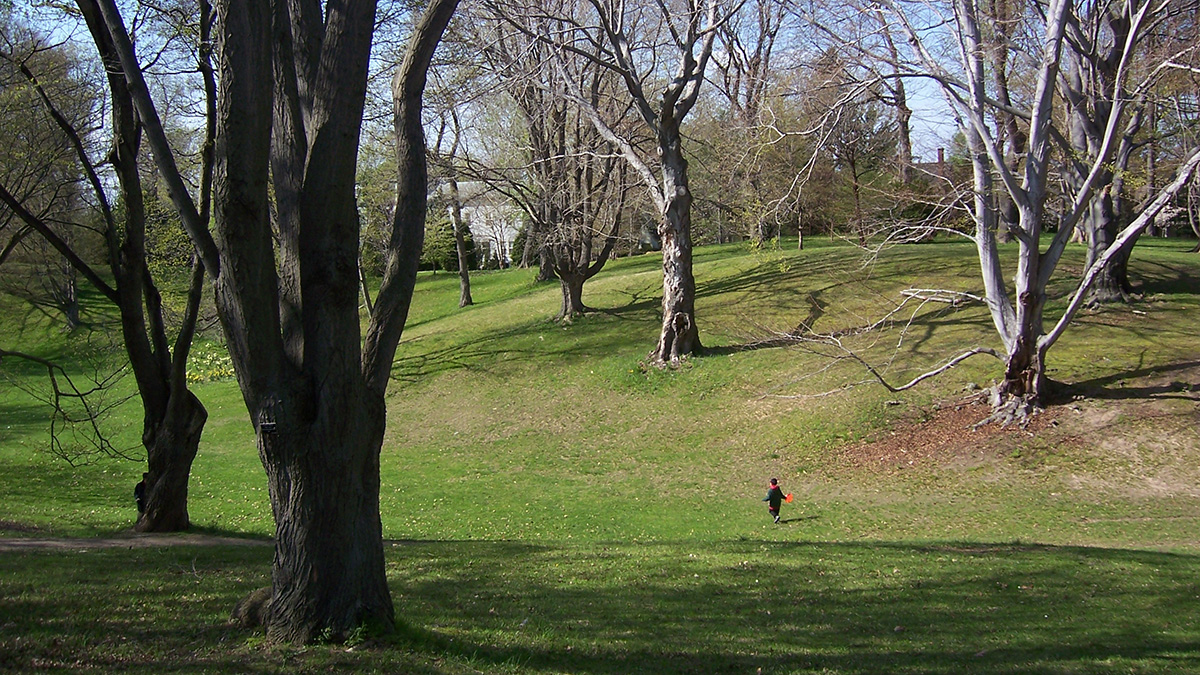 Highland ParkRochester, NY The Cultural Landscape Foundation