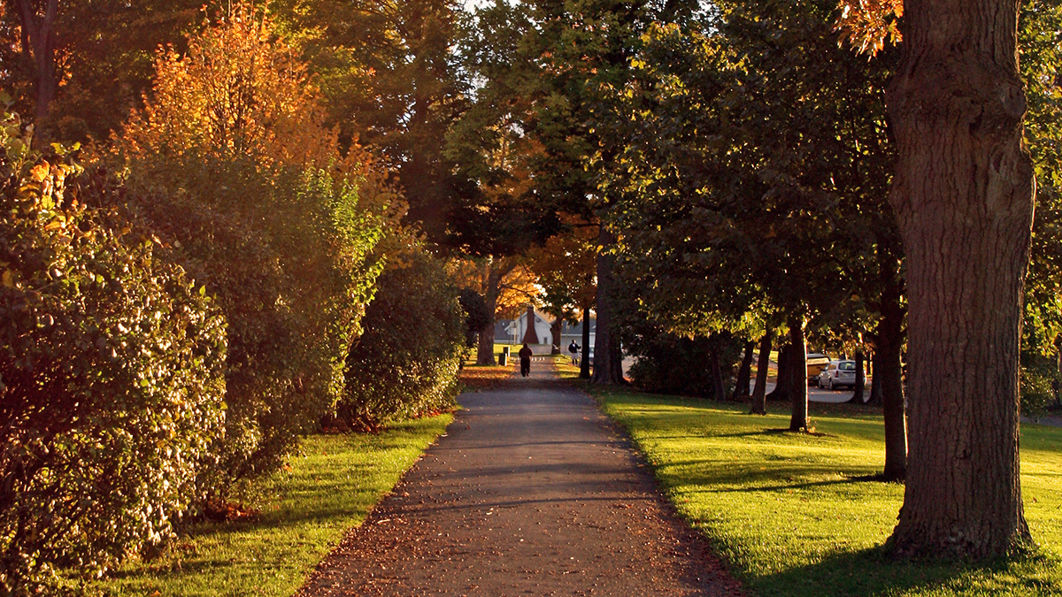 Thompson Park, Watertown, NY