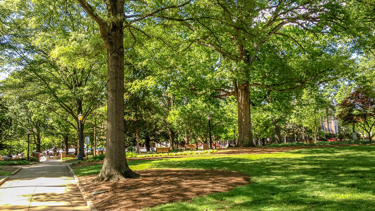 Nash Square, Raleigh, NC