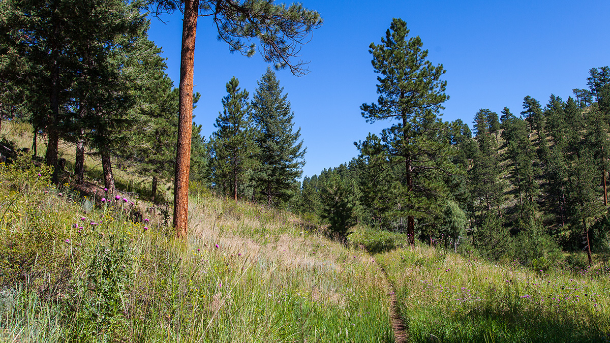 O'Fallon Park, Morrison, CO