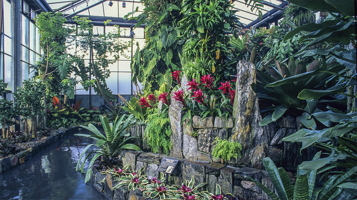 Longwood GardensCascade Garden The Cultural Landscape Foundation