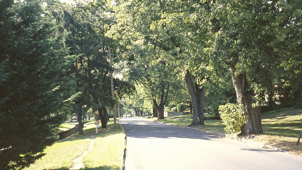 Blackstone Boulevard, Providence, RI