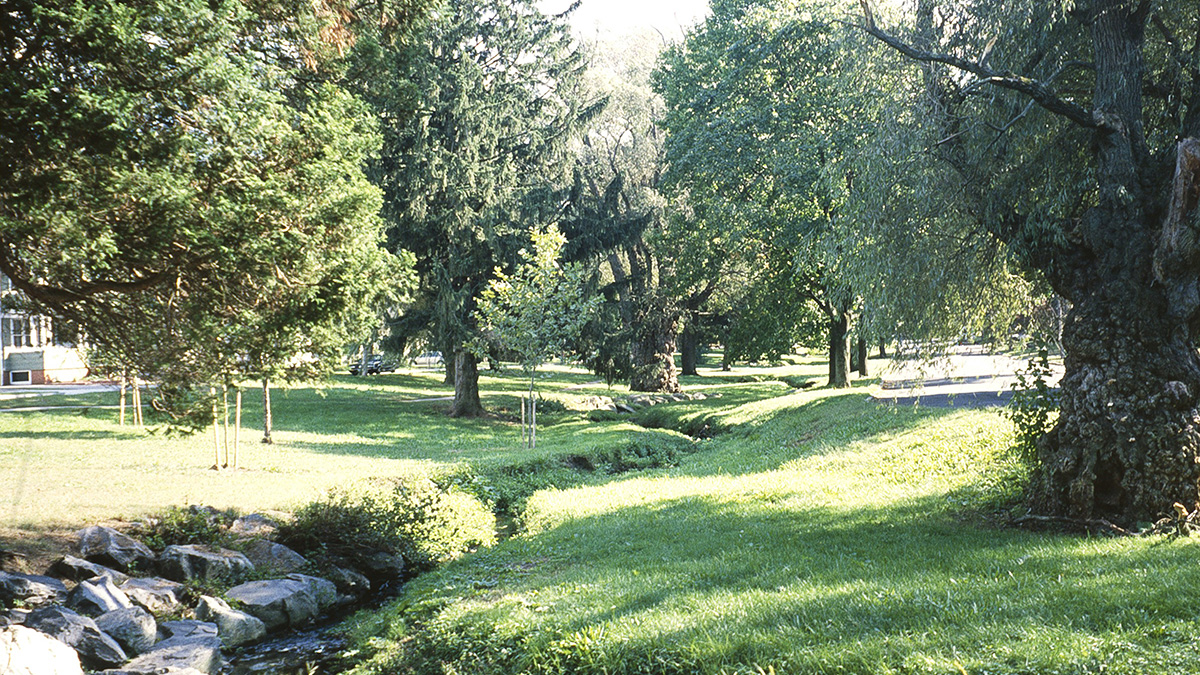 Blackstone Boulevard The Cultural Landscape Foundation