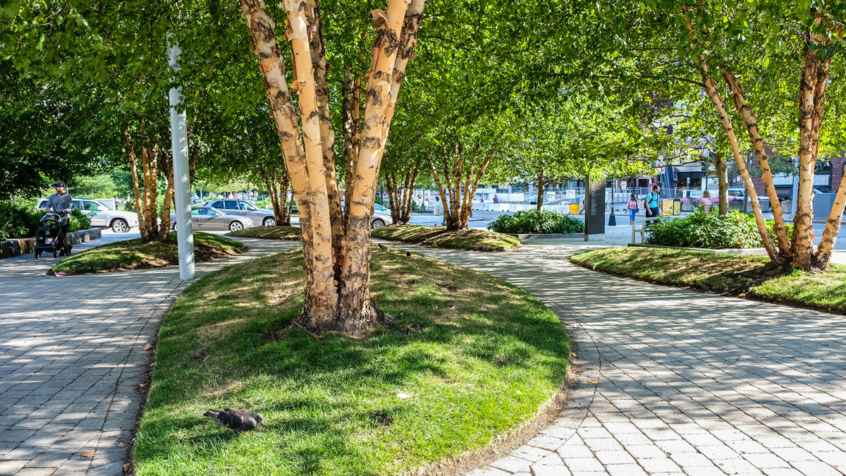 Rose Fitzgerald Kennedy Greenway The Cultural Landscape Foundation