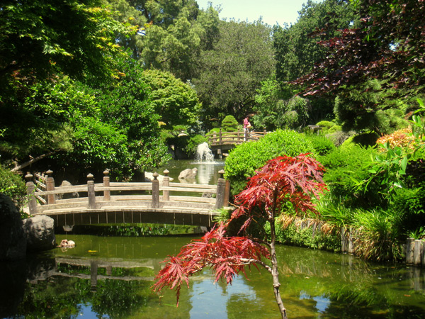 San Mateo Tea Garden | The Cultural Landscape Foundation