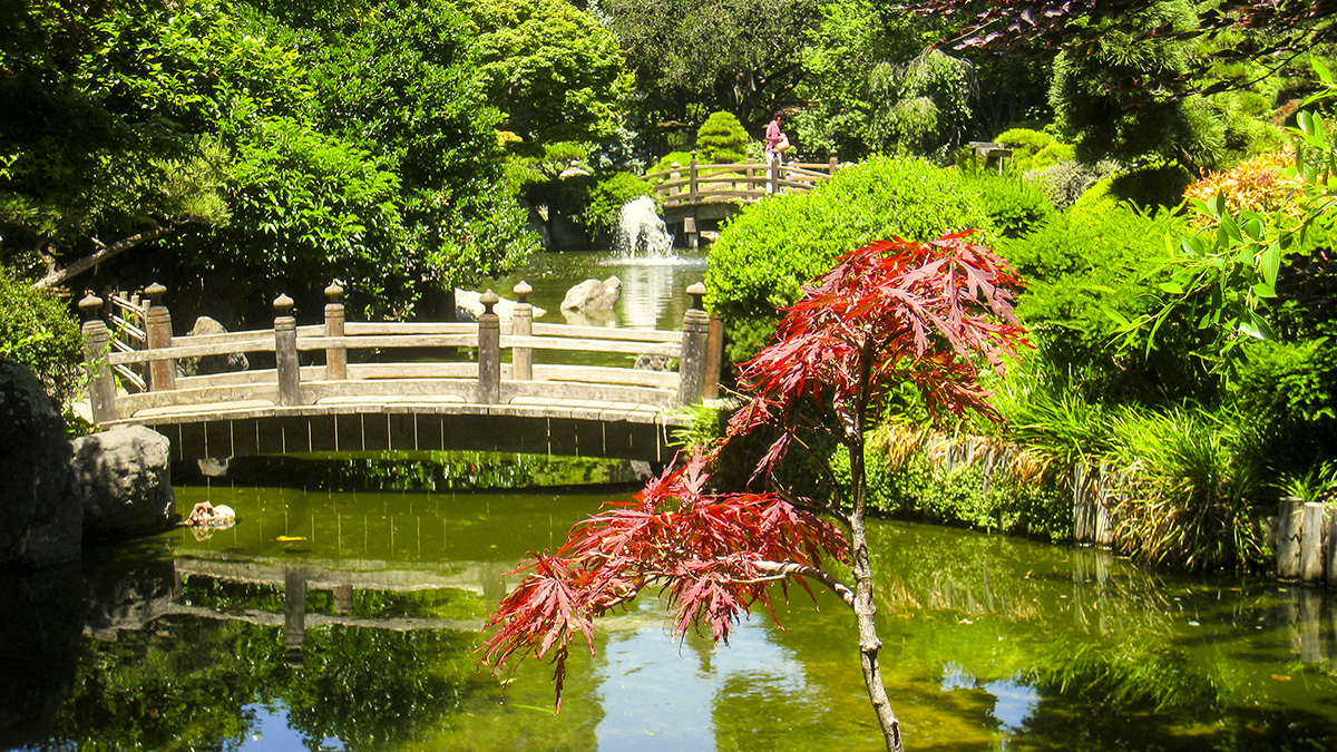 San Mateo Tea Garden, San Mateo, CA