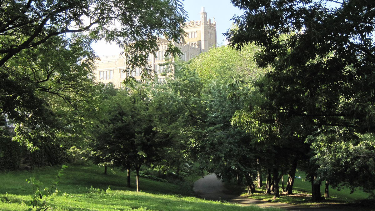 St. Nicholas Park, New York, NY