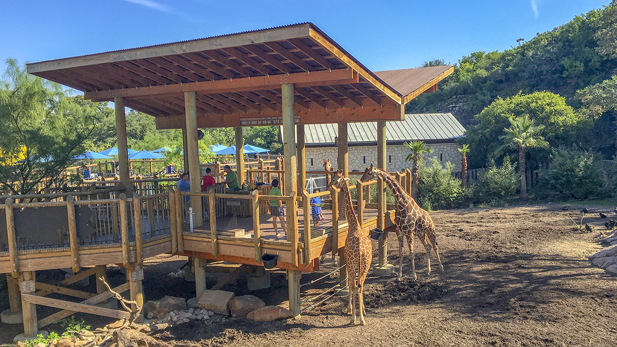 San Antonio Zoo The Cultural Landscape Foundation