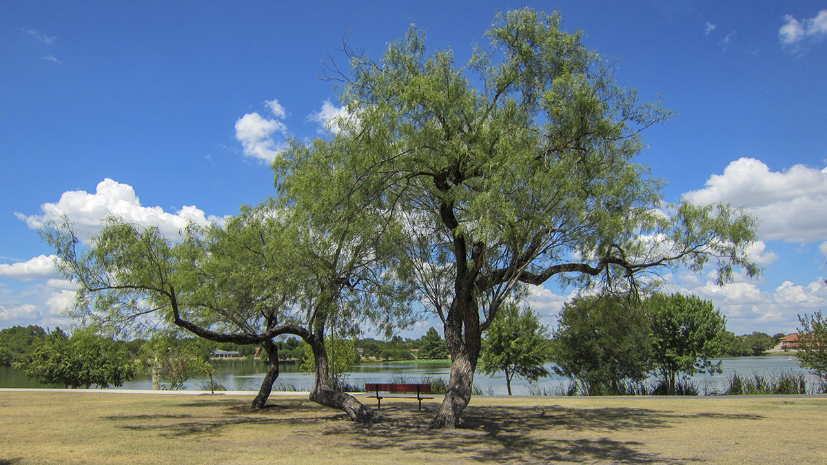 Woodlawn Lake Park, San Antonio, TX