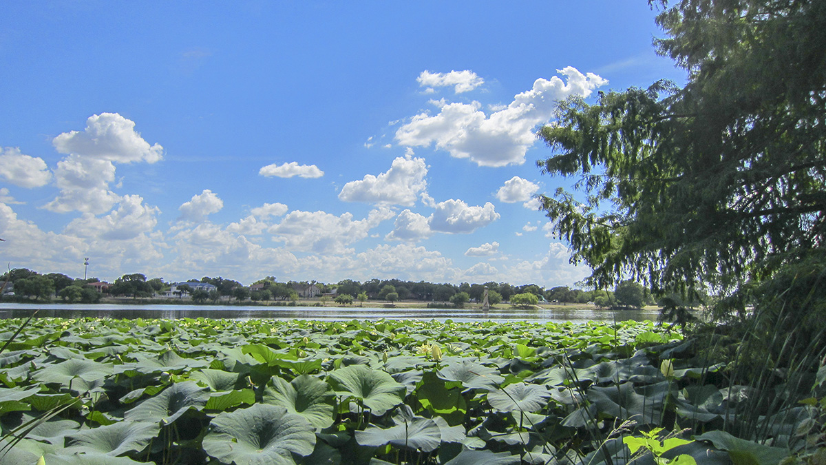woodlawn-lake-park-the-cultural-landscape-foundation