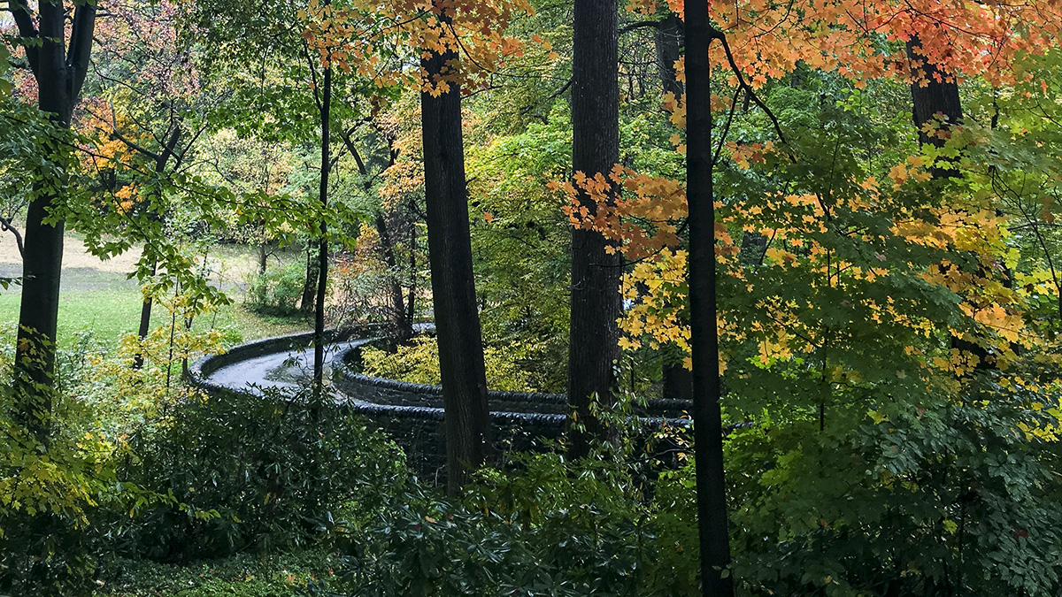 Tregaron, Washington, DC