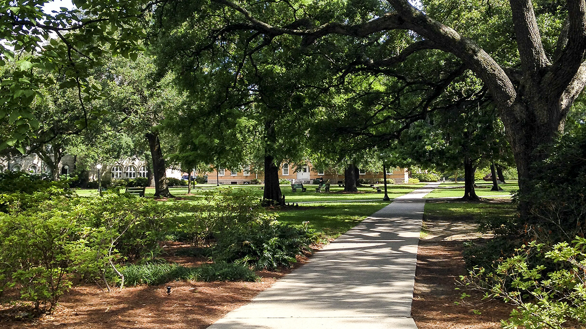 Tulane University | TCLF