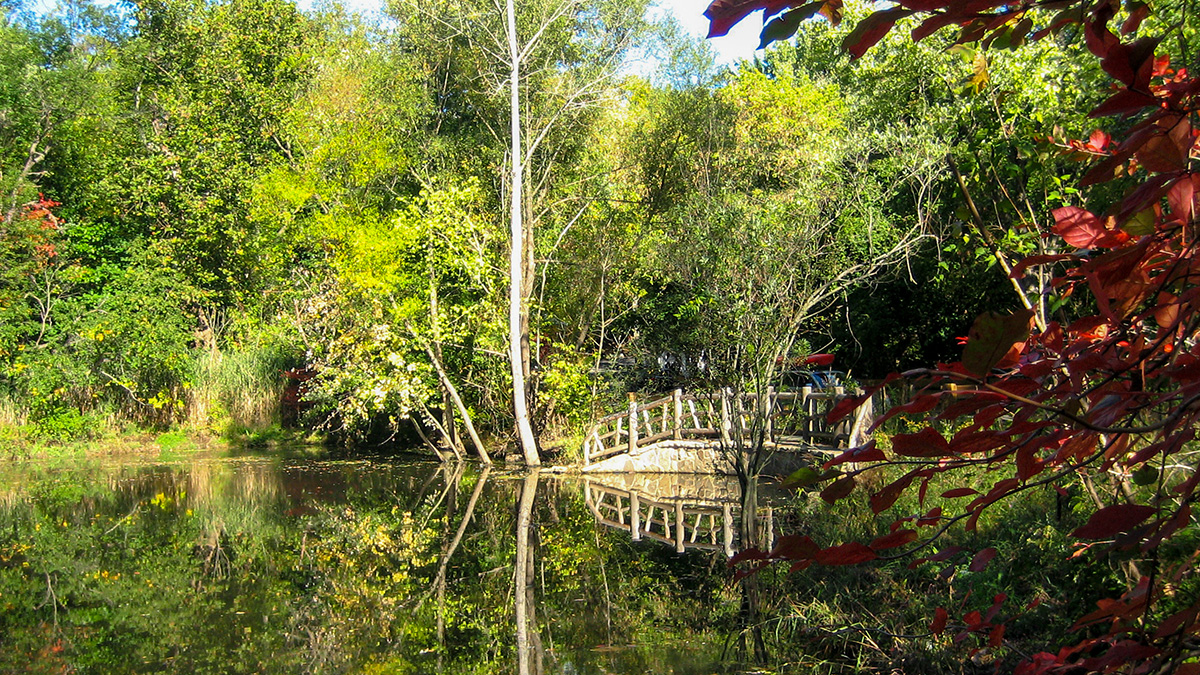 Udall’s Park Preserve The Cultural Landscape Foundation