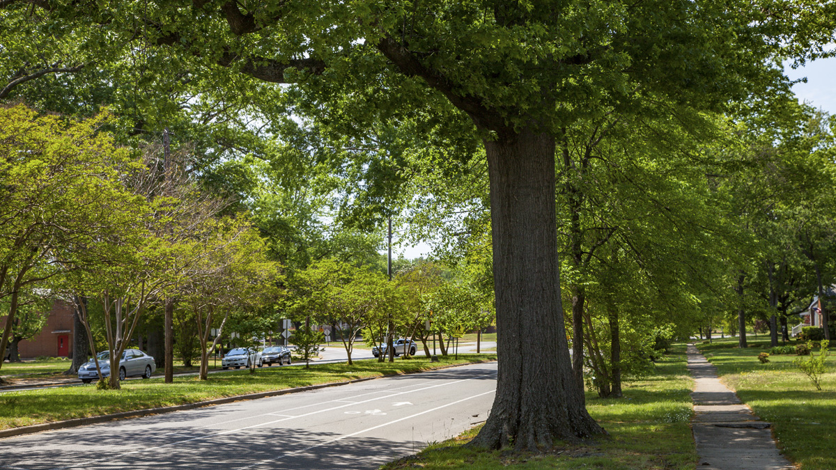 Brookland Parkway, Richmond, VA