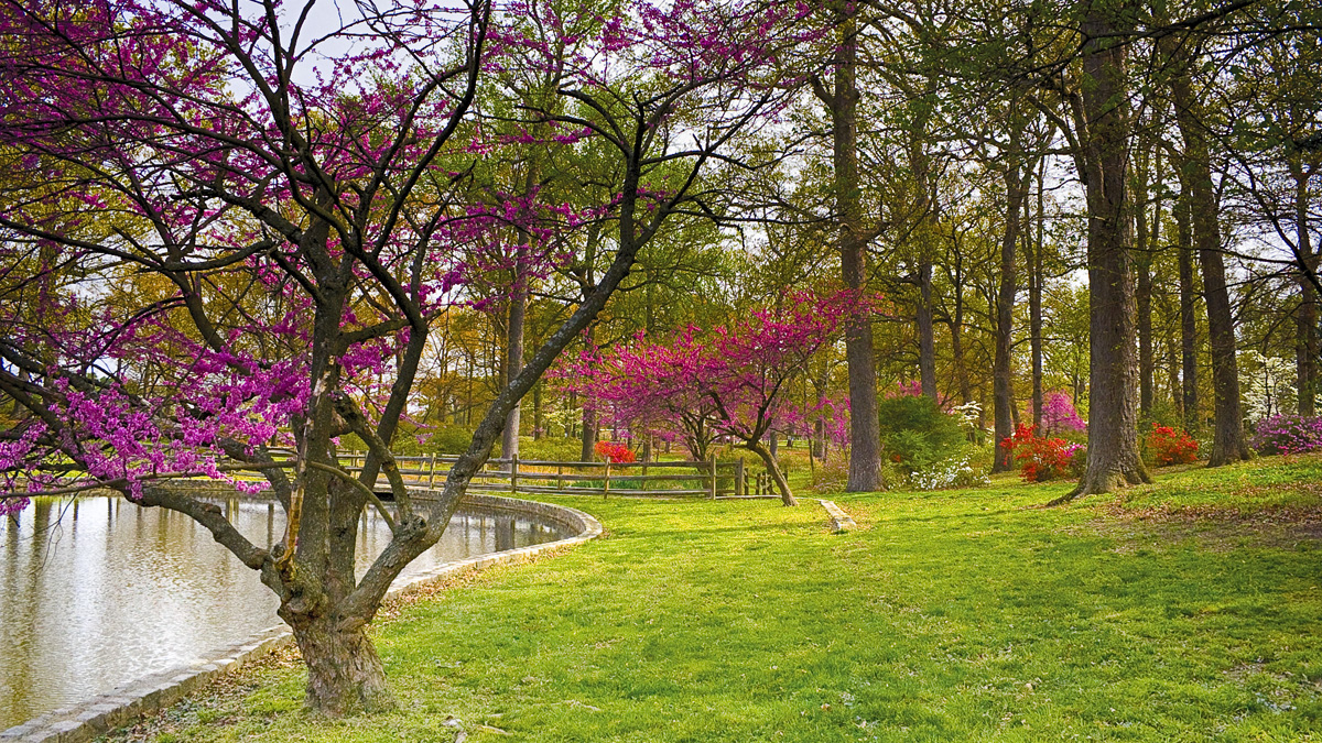 Joseph Bryan Park, Richmond, VA