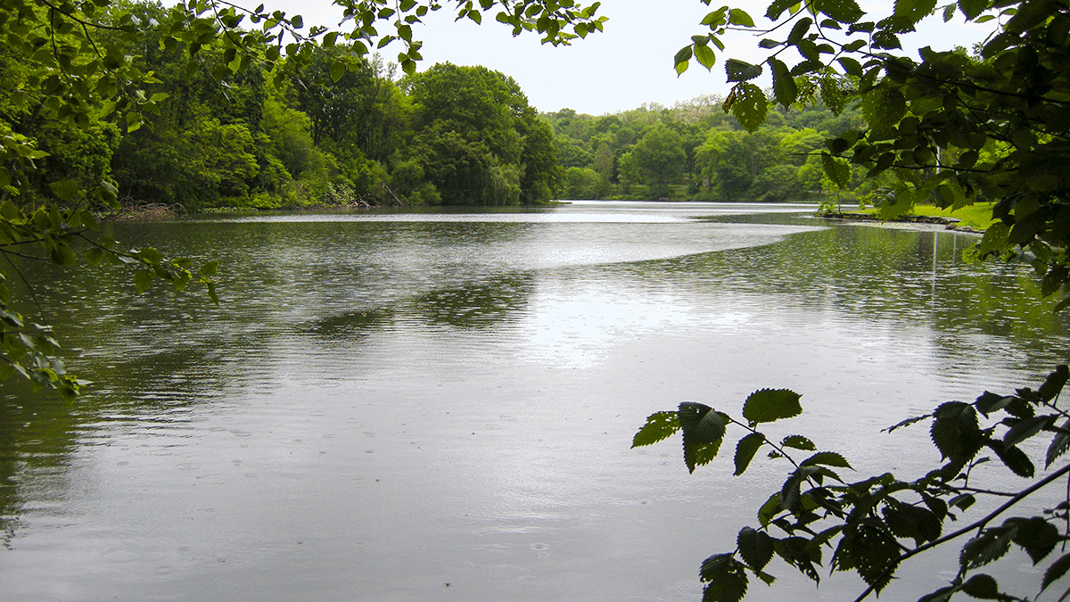 Van Cortlandt Park, Bronx, NY