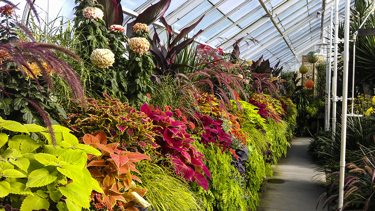 Volunteer Park Conservancy, Seattle, WA