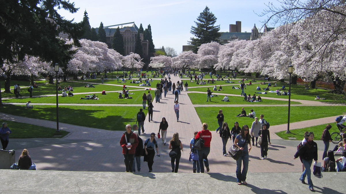 University Of Washington Seattle TCLF