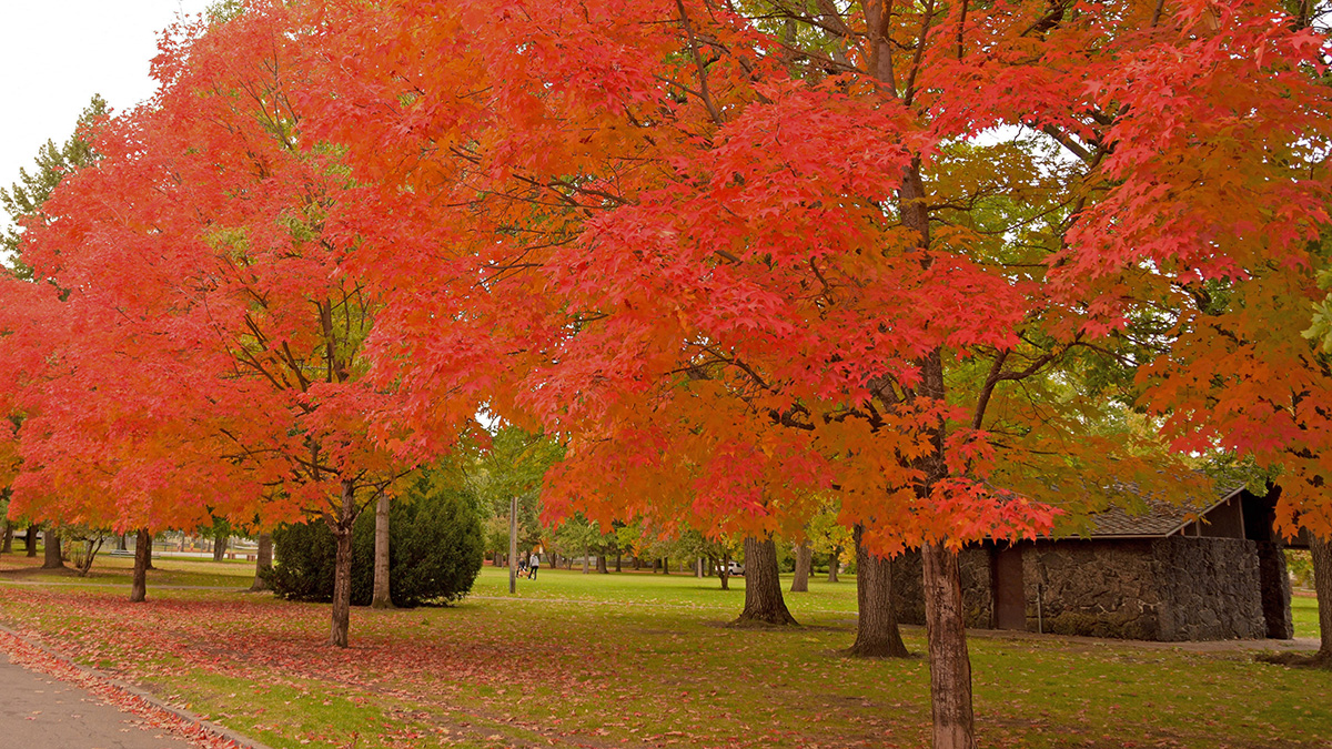 Corbin Park, Spokane, WA